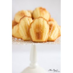 复制 复制 复制 复制 copy of copy of Chocolate Lactation Cookies
