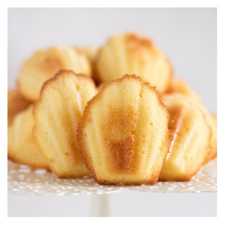 复制 复制 复制 复制 copy of copy of Chocolate Lactation Cookies