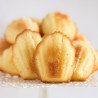 Petit Lemon Madeleine